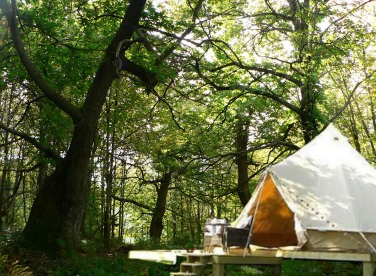 Podere Di Maggio - Canvas Tent Chestnut Santa Fiora 0*,  Italy