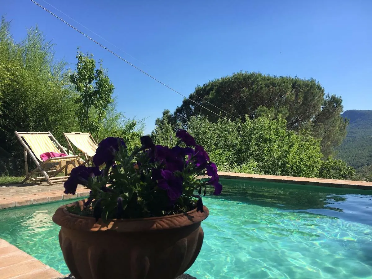 Luxury tent Podere Di Maggio - Canvas Tent Chestnut Santa Fiora