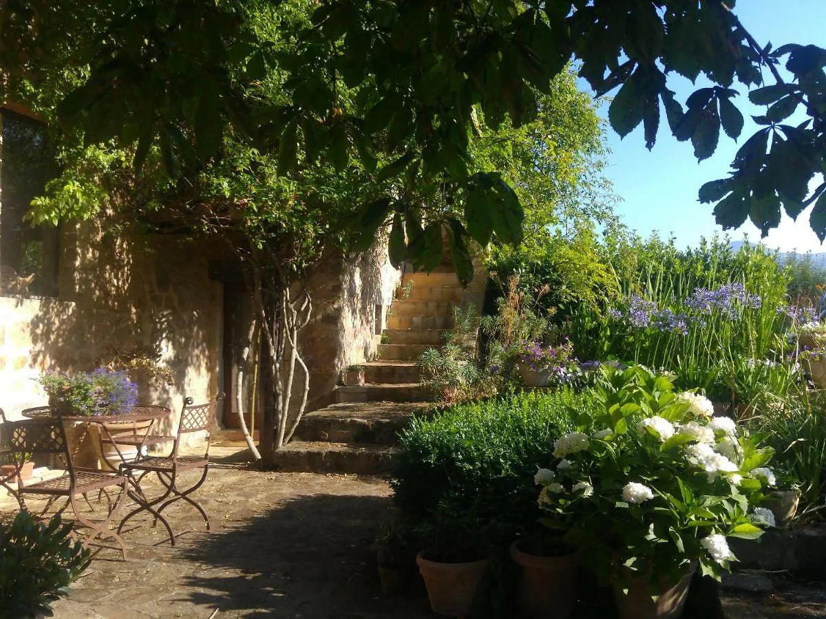 Luxury tent Podere Di Maggio - Canvas Tent Chestnut Santa Fiora